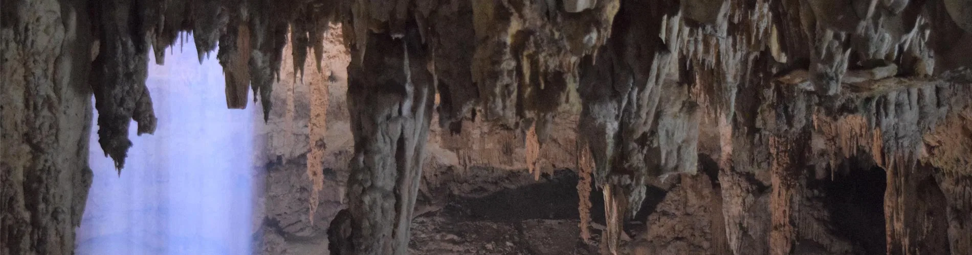 Vista destacada de CENOTES & RUINAS DEL MAYAB