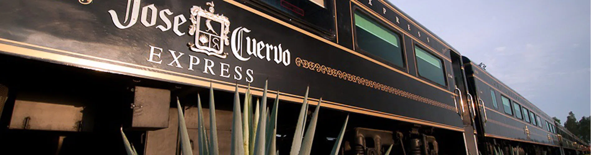 Vista destacada de TREN JOSE CUERVO EXPRESS Y TEQUILA