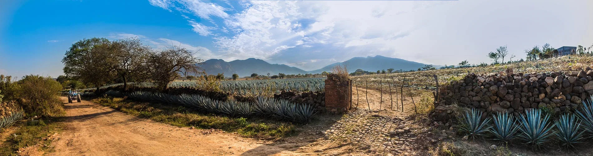 Vista destacada de TEQUILA Y CHARROS