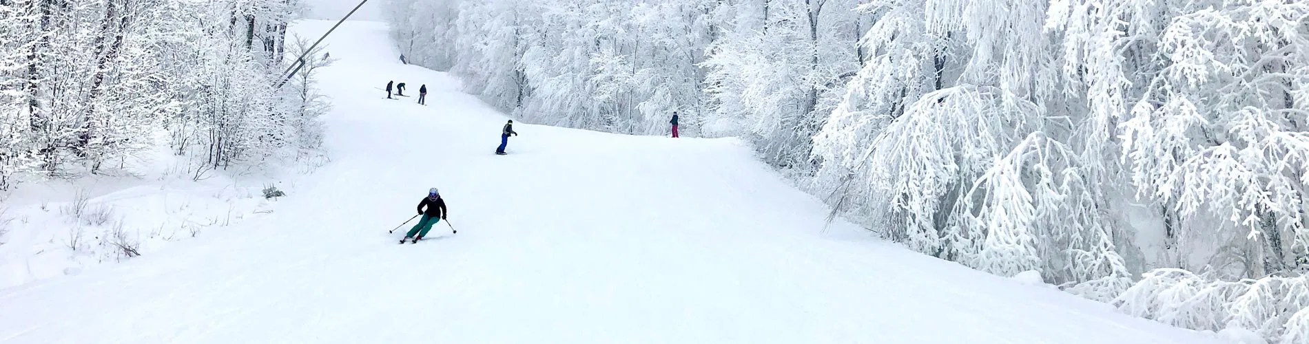 Vista destacada de LAURENTIDAS: EXPERIENCIA INVERNAL EN MONTREAL Y MONT TREMBLANT 2026-2027