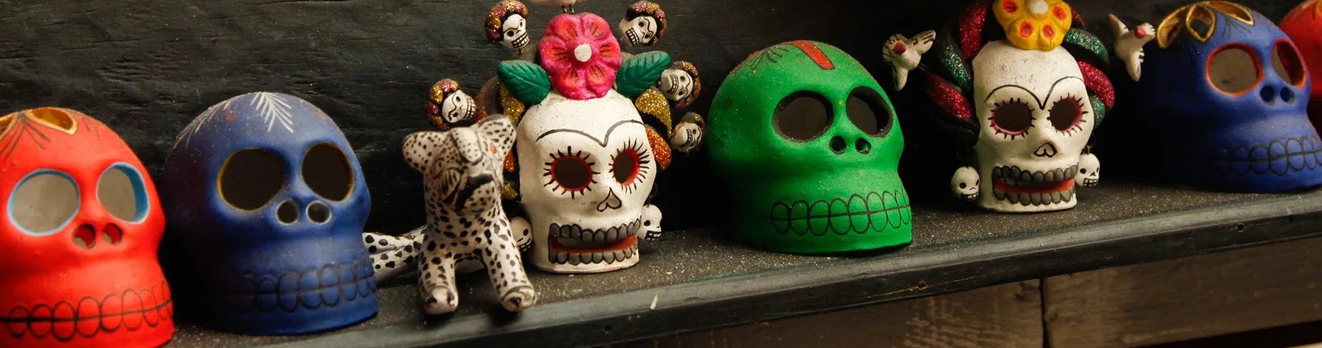 Vista destacada de CELEBRANDO EL CAMINO DE LOS MUERTOS EN OAXACA