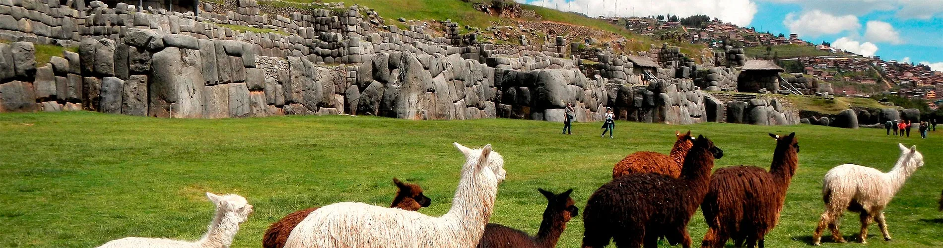 Vista destacada de LO MEJOR DE PERÚ I
