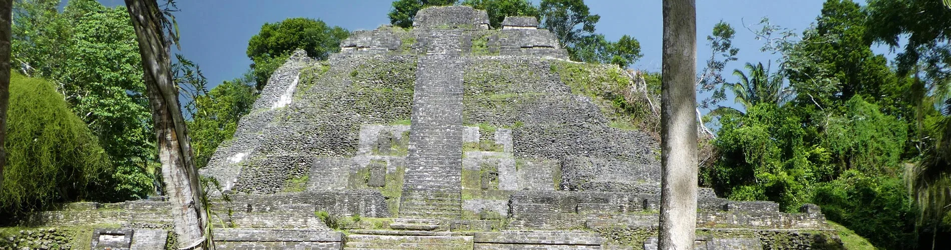 Vista destacada de BELICE A TU ALCANCE
