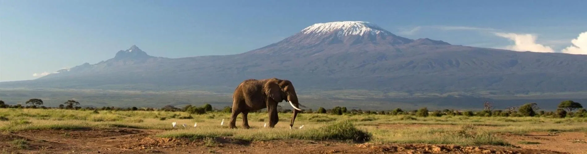 Vista destacada de AMANECER EN KENIA Y TANZANIA