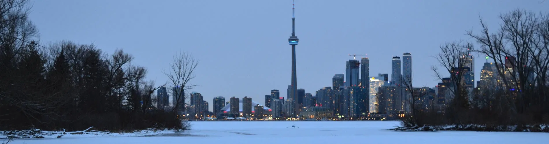 Vista destacada de MERCADO NAVIDEÑO EN TORONTO