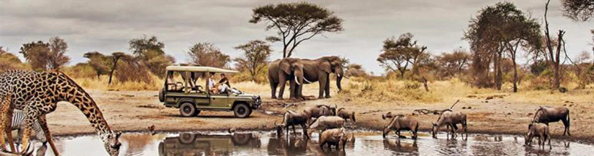Vista destacada de TIERRAS DE TANZANIA, SIMBA LODGES 2026