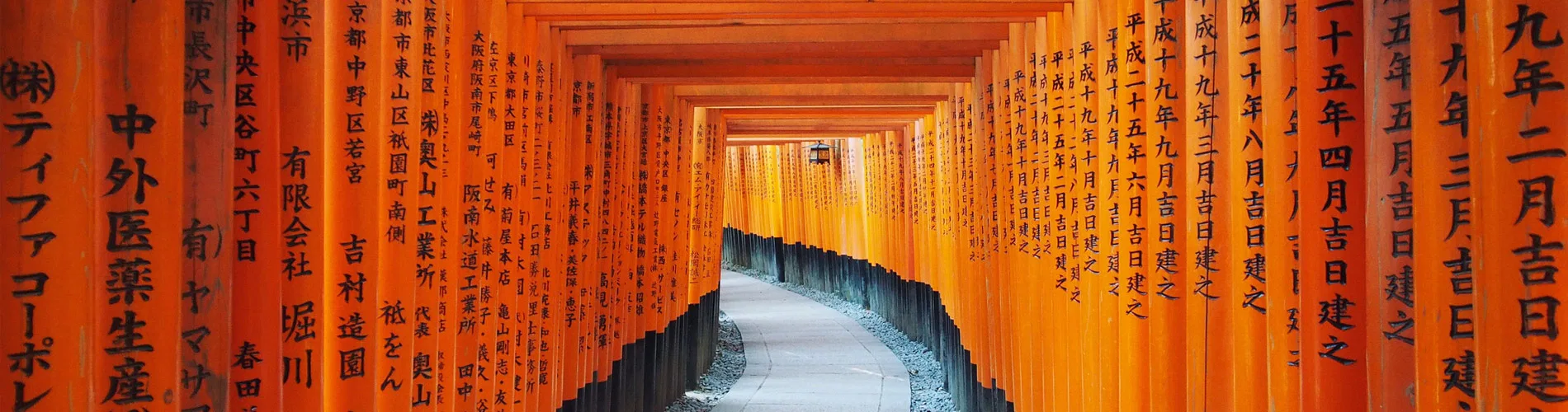 Vista destacada de SUPER JAPON (TOKYO - TOKYO)