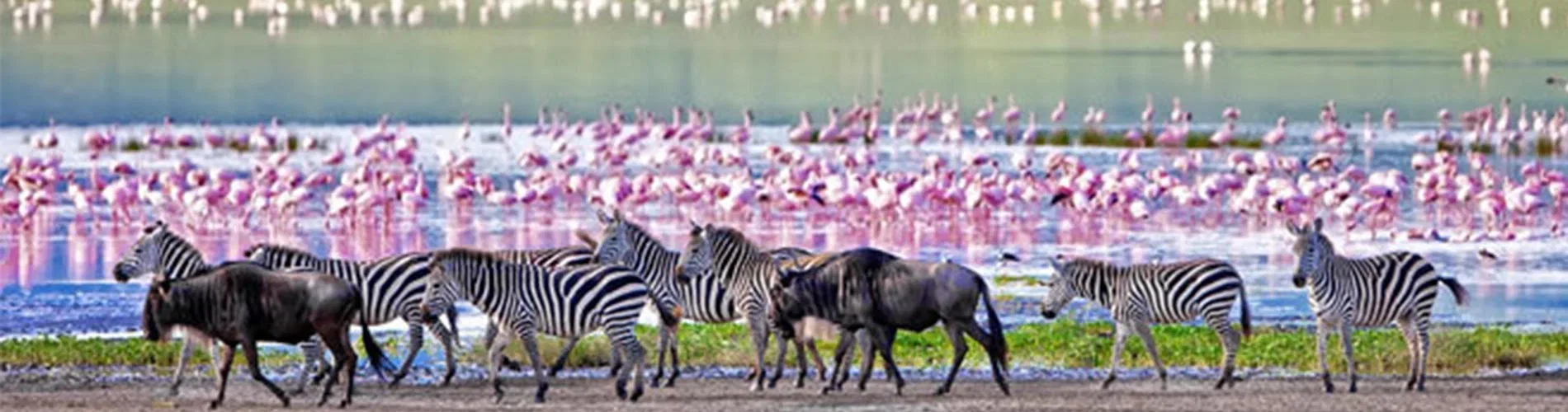 Vista destacada de KENIA Y TANZANIA 2026