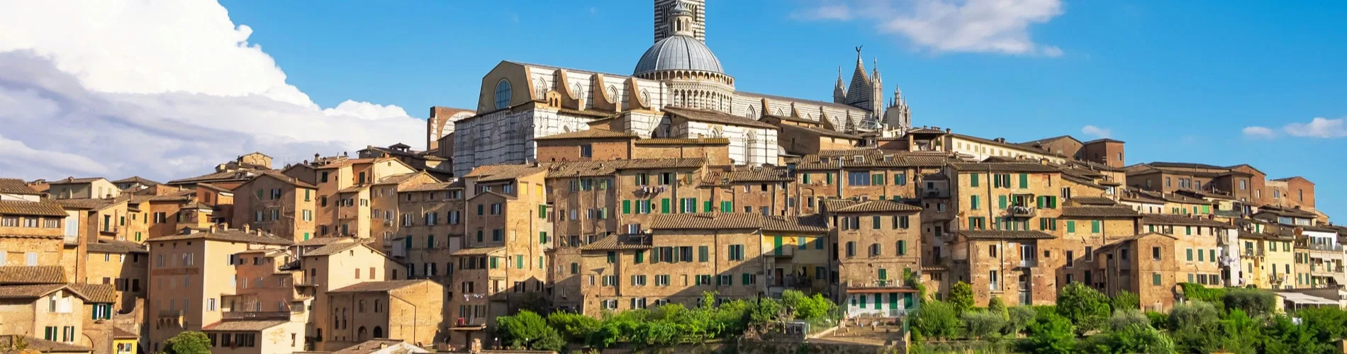 Vista destacada de ITALIA PLUS 1 2026 - 2027