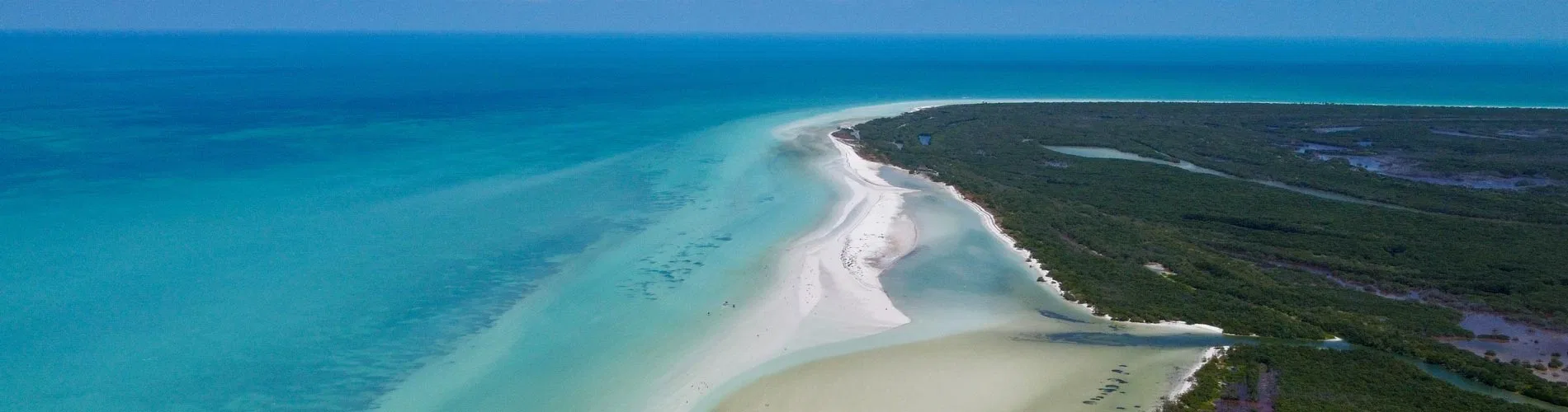 Vista destacada de NATURALEZA VIVA EN CARIBE MÉXICANO Y YUCATÁN