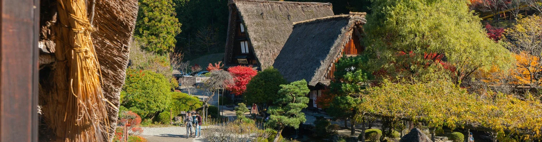 Vista destacada de ENCANTOS DE JAPÓN II 2027 – 2028