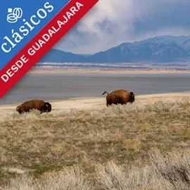 Imagen de EXPLORANDO SALT LAKE CITY 2027 DESDE GUADALAJARA