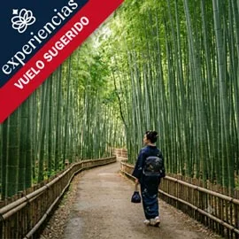Imagen de ENCANTOS DE JAPÓN II CON VUELO DESDE SAN DIEGO