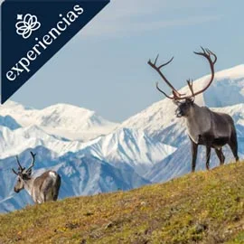 Imagen de GRANDES PARQUES DE ALASKA 2026