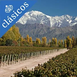 Imagen de VINO, TANGO Y CATARATAS