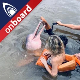 Imagen de EXPLORA BRASIL Y NAVEGA POR EL RÍO AMAZONAS