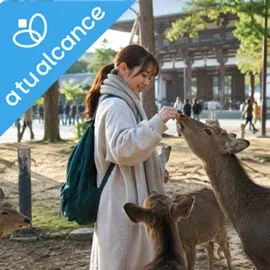 Imagen de JAPÓN A TU ALCANCE