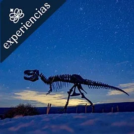Imagen de VINO, DINOSAURIOS, ARTESANIAS, Y LA CIUDAD DE LAS MONTAÑAS