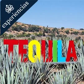 Imagen de TREN JOSE CUERVO EXPRESS Y TEQUILA