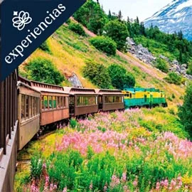 Imagen de ALASKA POST CRUCERO 2026