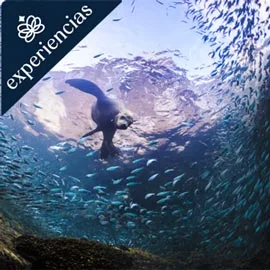 Imagen de AVENTURA EN BAJA CALIFORNIA SUR