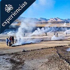 Imagen de CHILE, DESIERTO Y PATAGONIA