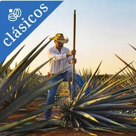 Imagen de VIVE EL BAJIO, DE JALISCO A AGUASCALIENTES