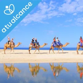 Imagen de ¡VIVE LOS CABOS!