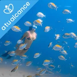 Imagen de EXPERIENCIA EN LOS CABOS Y LA PAZ