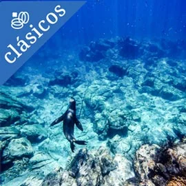 Imagen de MAZATLÁN Y LA PAZ AUTÉNTICO