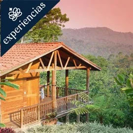 Imagen de AROMAS Y BELLEZAS NATURALES  EN CHIAPAS