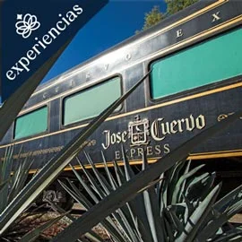 Imagen de TREN JOSE CUERVO EXPRESS