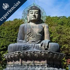 Imagen de GRAN TOUR DE COREA DEL SUR
