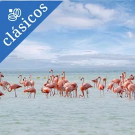 Imagen de DESCUBRIENDO LA MAGIA DE HOLBOX