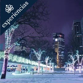 Imagen de TORONTO A WHITEHORSE: LUCES Y CATARATAS 2026-2027