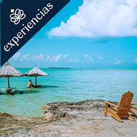 Imagen de LO MEJOR DE BELICE