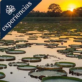 Imagen de RIO DE JANEIRO, PANTANAL Y RECIFE