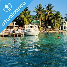Imagen de BELICE A TU ALCANCE