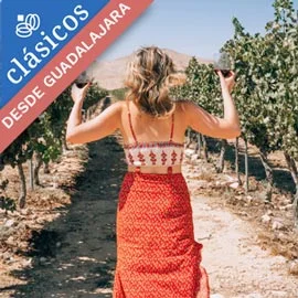 Imagen de RUTA DEL VINO EN BAJA CALIFORNIA  DESDE GUADALAJARA