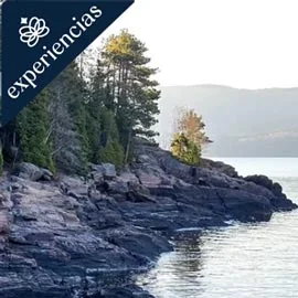 Imagen de MAGNÍFICO ESTE CANADIENSE 2026