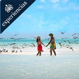 Imagen de TAHITI Y MOOREA