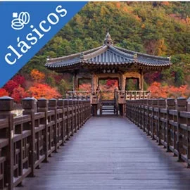 Imagen de DESCUBRE COREA DEL SUR
