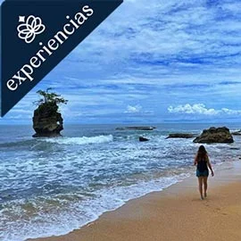 Imagen de COSTA RICA, NATURALEZA Y PLAYAS DEL SUR