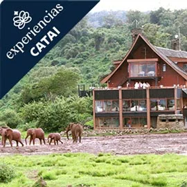Imagen de KENIA DELUXE
