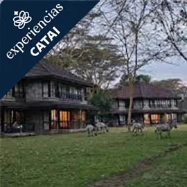 Imagen de KENIA Y CATARATAS VICTORIA