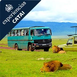 Destino relacionado con AMANECER EN KENIA Y TANZANIA