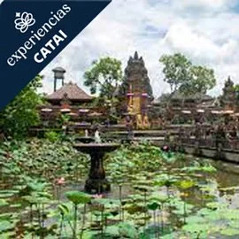 Imagen de BALI EN LUJO