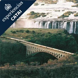 Imagen de ROVOS RAIL: DE PRETORIA A CATARATAS VICTORIA CON CHOBE