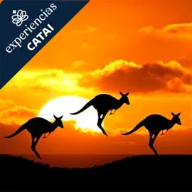 Imagen de BELLEZAS DE AUSTRALIA