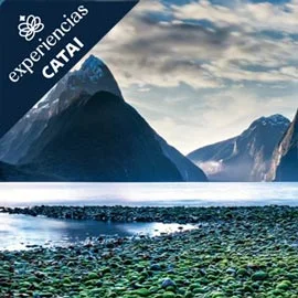 Imagen de NUEVA ZELANDA: PARAÍSO REMOTO